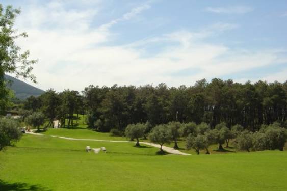 Lauro Golf ha acogido la primera jornada de los Campeonatos de Andalucía de Tercera y Cuarta Categorías