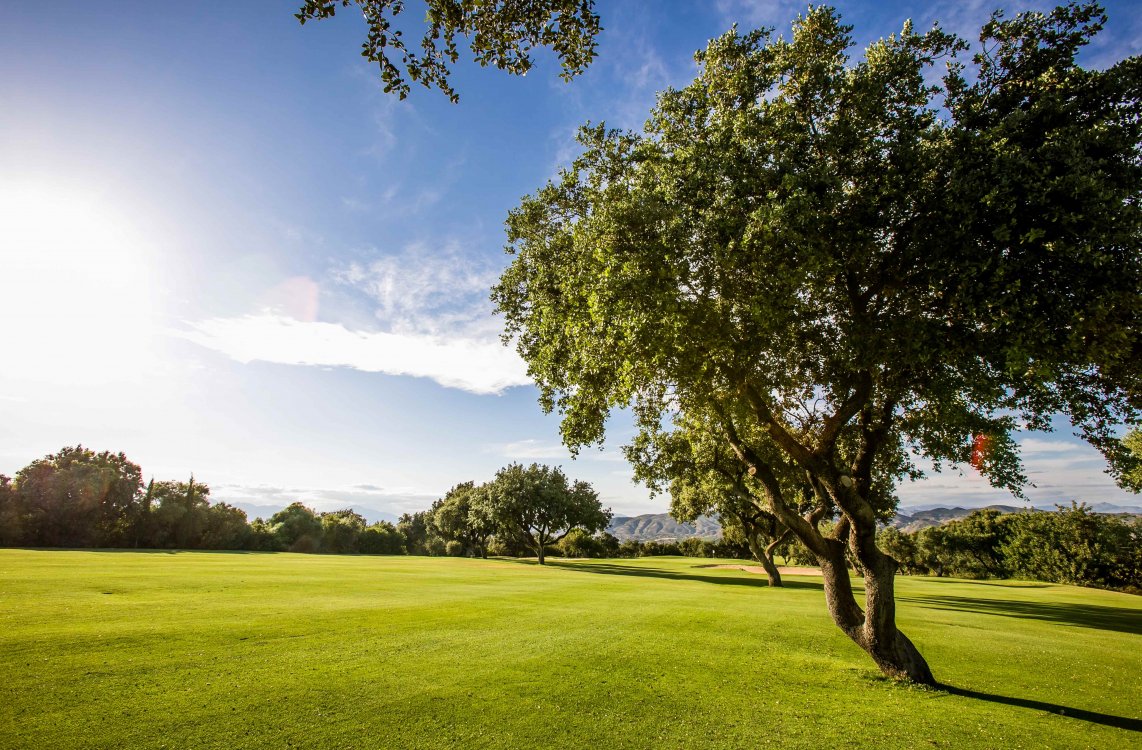 Arranca el calendario de competiciones 2025, un año más, con el Finnish Open de Lauro Golf